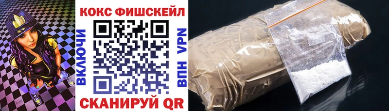 где можно купить наркотик  Грозный  COCAIN Fish Scale 