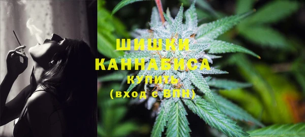 ГАЛЛЮЦИНОГЕННЫЕ ГРИБЫ Покров