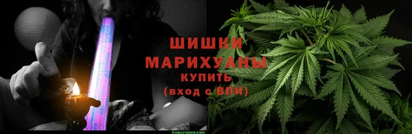 стаф Сатка