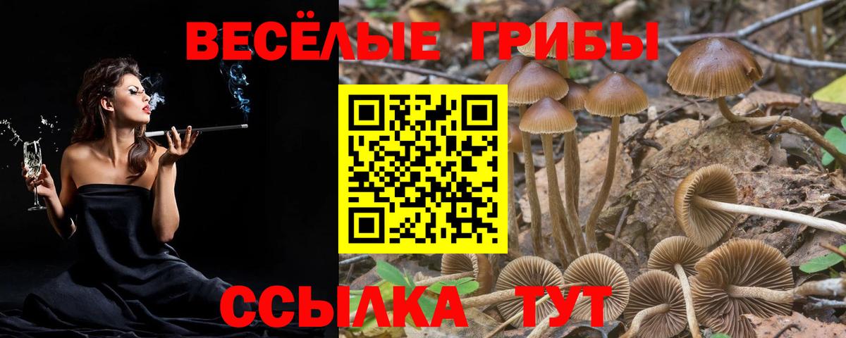 Грозный  Псилоцибиновые грибы мухоморы  Псилоцибиновые грибы Cubensis  Вход с VPN 
