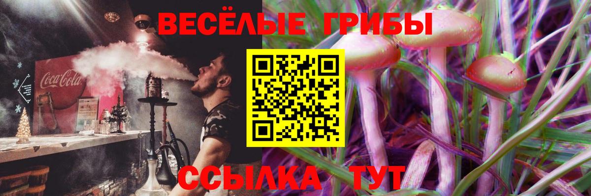 Галлюциногенные грибы MAGIC MUSHROOMS  Грозный 